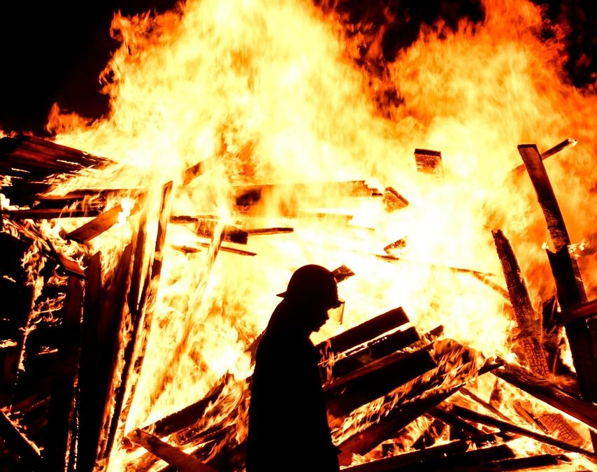 Evakuasi Ular di Jalan Protokol